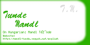 tunde mandl business card